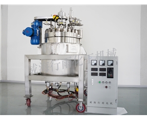 江苏中试反应釜