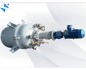 江苏生产型反应釜